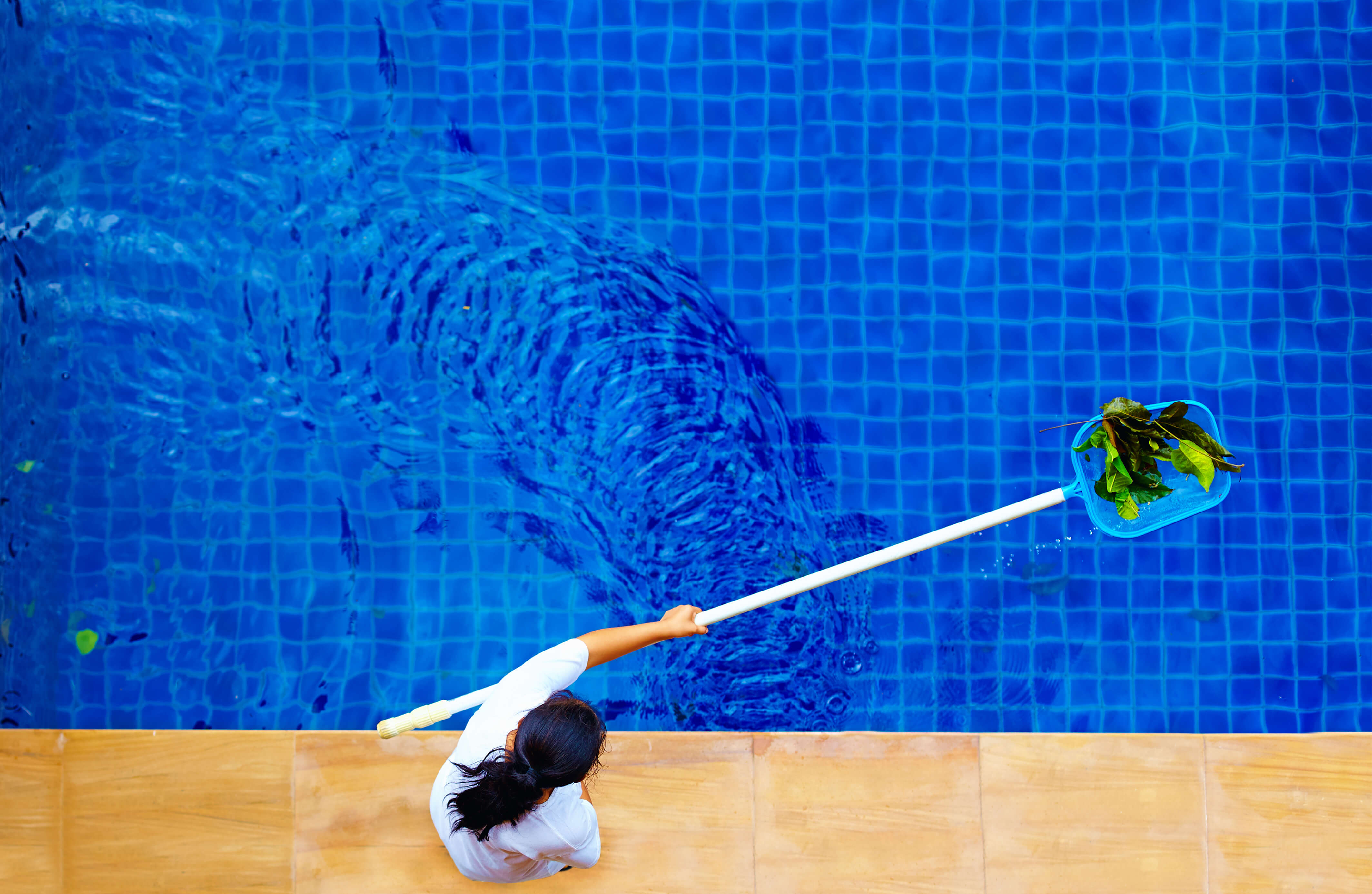 woman, personnel cleaning the pool from leaves, Pool Cleaning